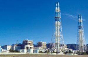 インド　海外進出